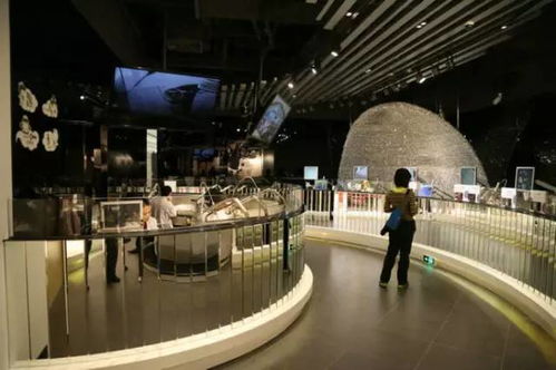 潮人新玩法,3條線路帶你玩轉(zhuǎn)佛山